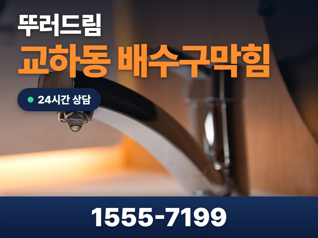 교하동 배수구막힘 현장