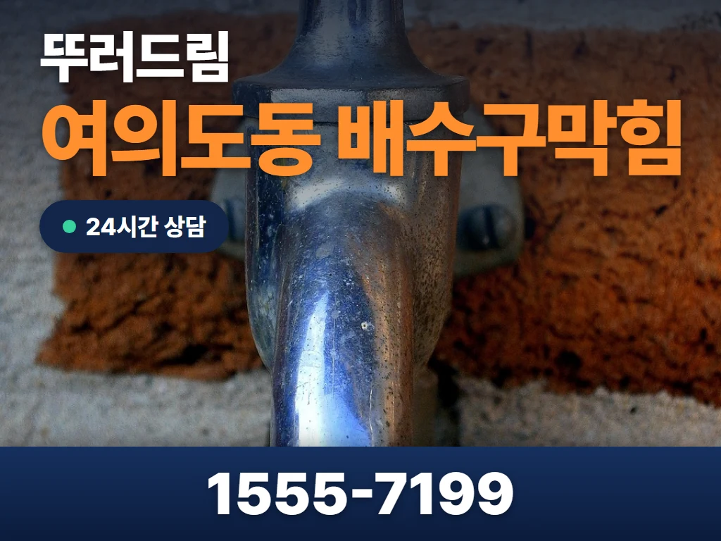여의도동 배수구막힘 현장
